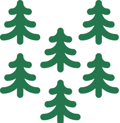Cork Forest